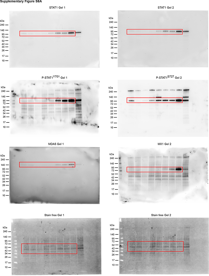 Extended Data Figure 3 -