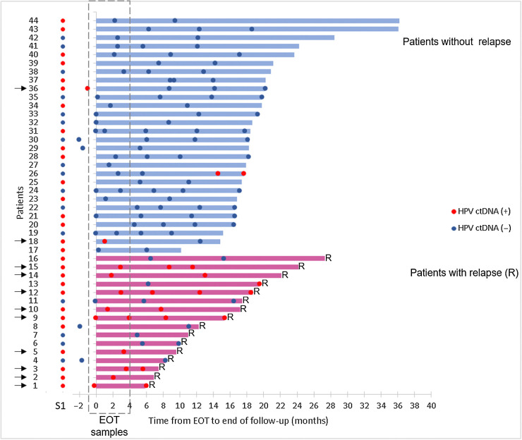 Figure 4. HPV ctDNA dynamics from the EOT to the end of follow-up. Each line corresponds to a patient (n = 44); patients without relapse and with relapse are identified in blue (top of the figure) and red (bottom), respectively. The length of the lines (top) corresponds to the duration of follow-up. Red () and blue () correspond to HPV-positive and HPV-negative serum samples, respectively. Serum samples in dashed area correspond to EOT samples. Patients with HPV ctDNA in their EOT samples are indicated by a black arrow. Diagnosis of relapse corresponds to the end of the line. S1, serum sample before treatment; R, relapse.