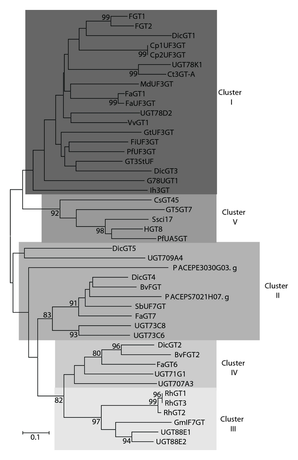 Figure 5