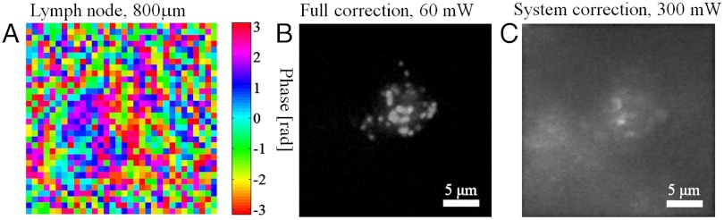 Fig. 4.