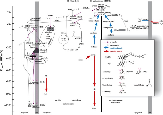 Figure 3.