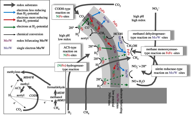 Figure 5.