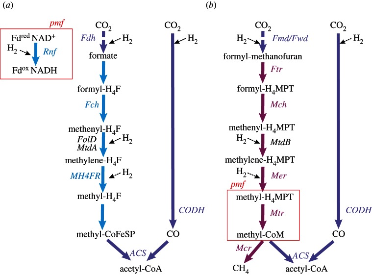 Figure 1.