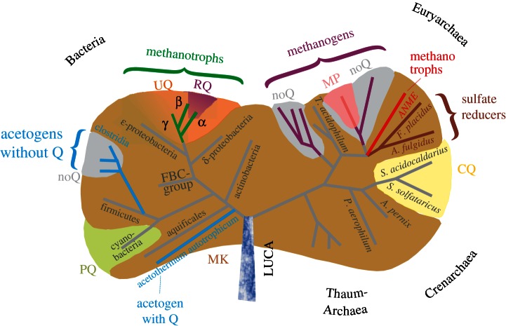 Figure 2.