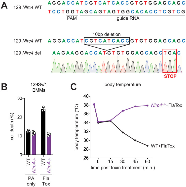 Figure 4—figure supplement 1.