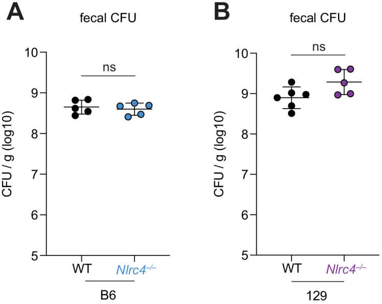 Figure 3—figure supplement 1.