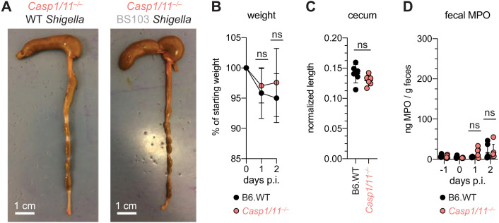 Figure 2—figure supplement 2.