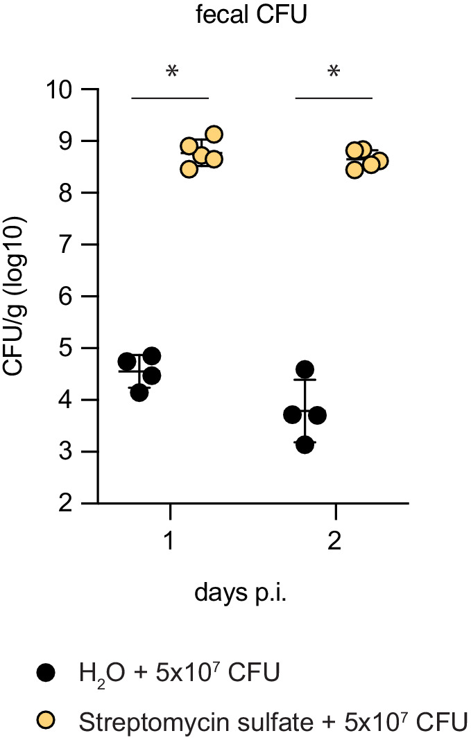 Figure 2—figure supplement 1.