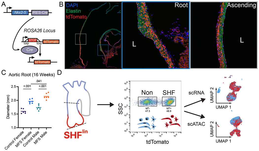 Figure 1: