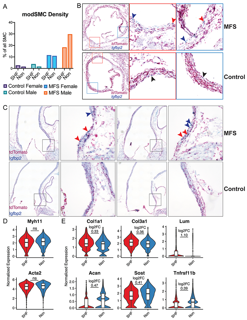 Figure 4: