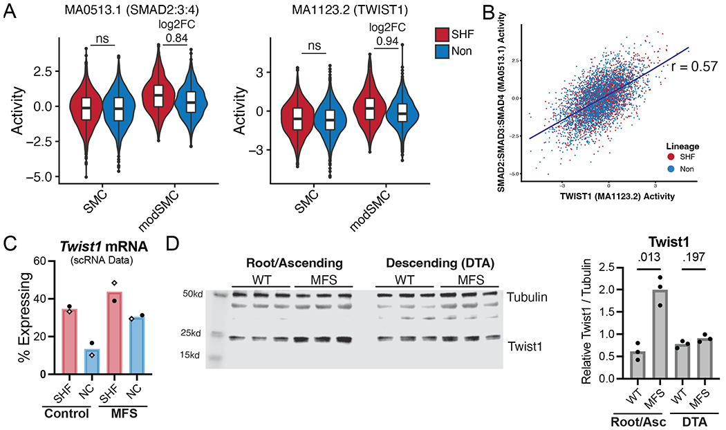 Figure 6: