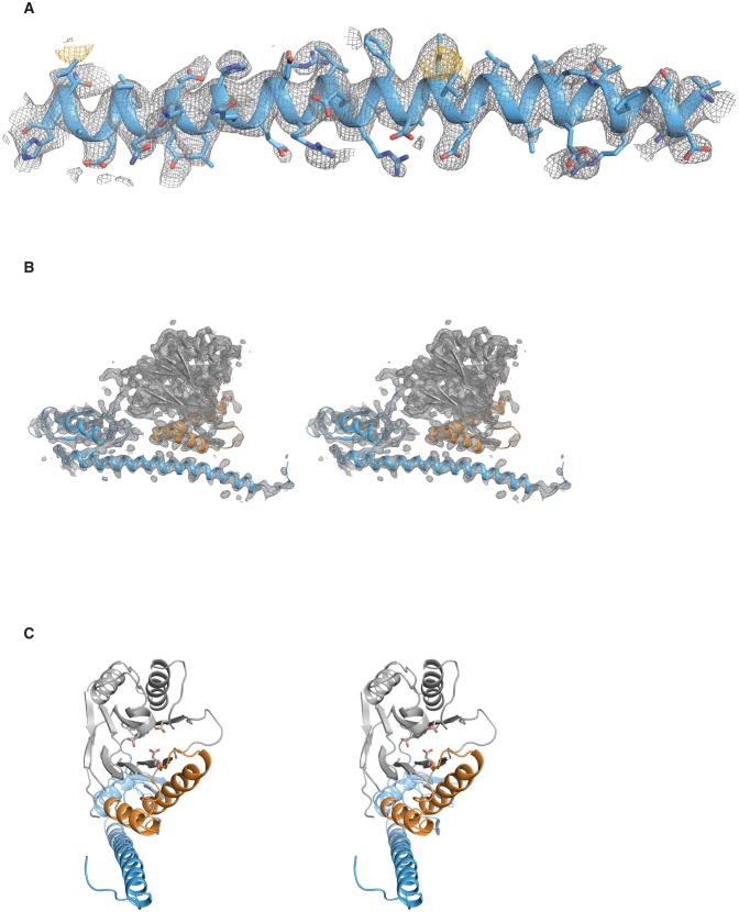 Figure 1—figure supplement 1.