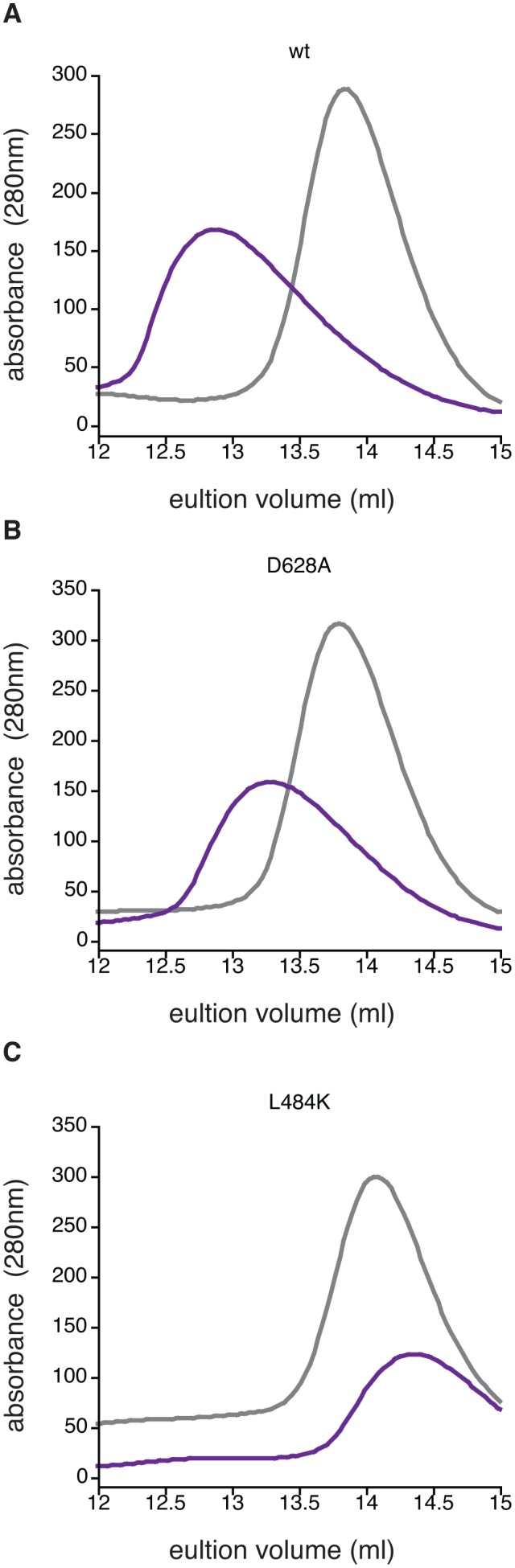 Figure 4—figure supplement 1.