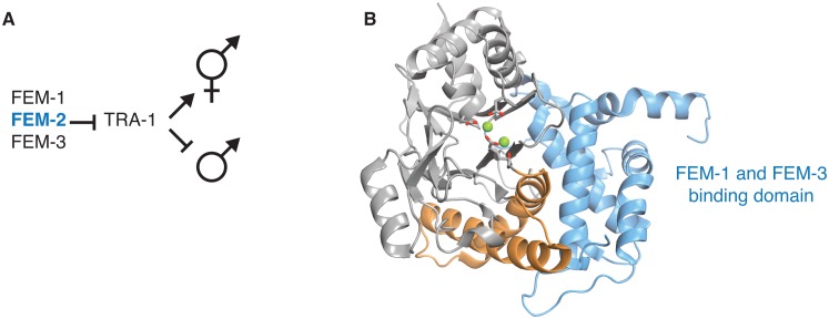 Figure 5—figure supplement 3.