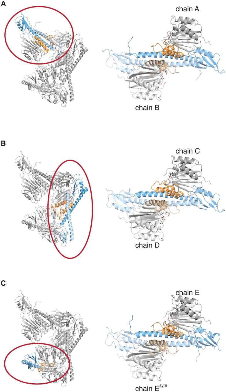 Figure 1—figure supplement 2.