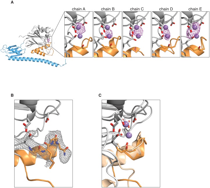 Figure 3—figure supplement 3.