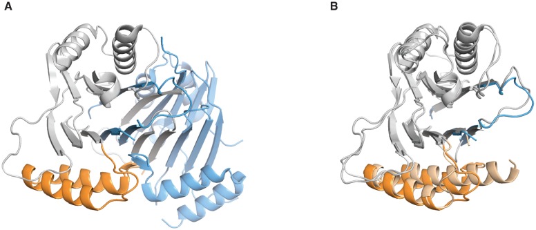 Figure 3—figure supplement 1.