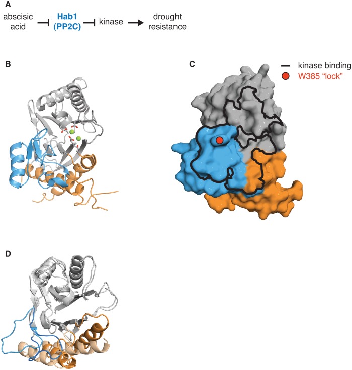 Figure 5—figure supplement 4.