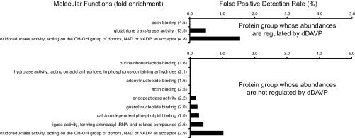 Fig. 11.