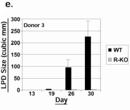 FIG.2.