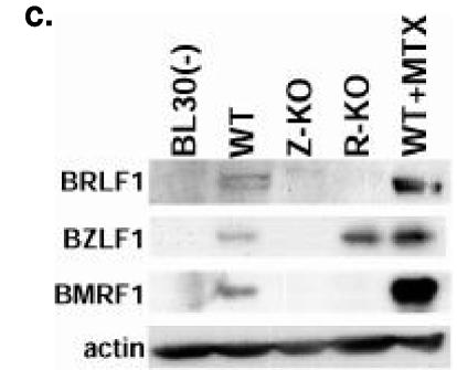 FIG.4.