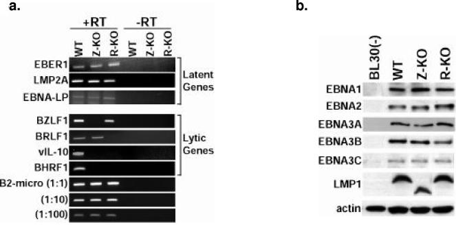 FIG.4.