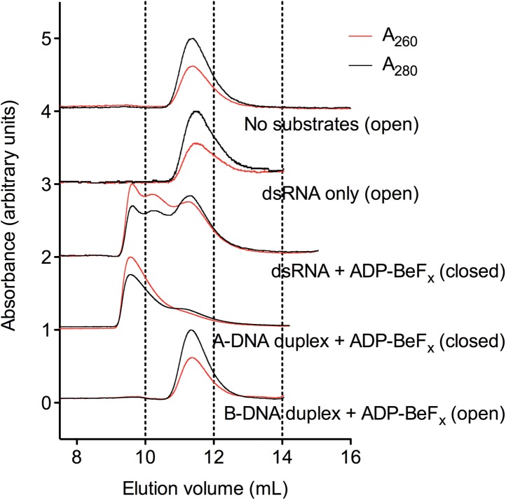 Figure 5—figure supplement 4.