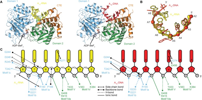 Figure 6.