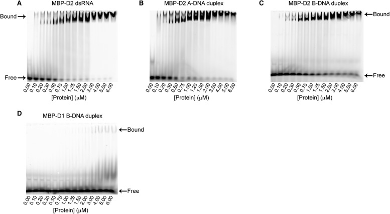 Figure 5—figure supplement 1.