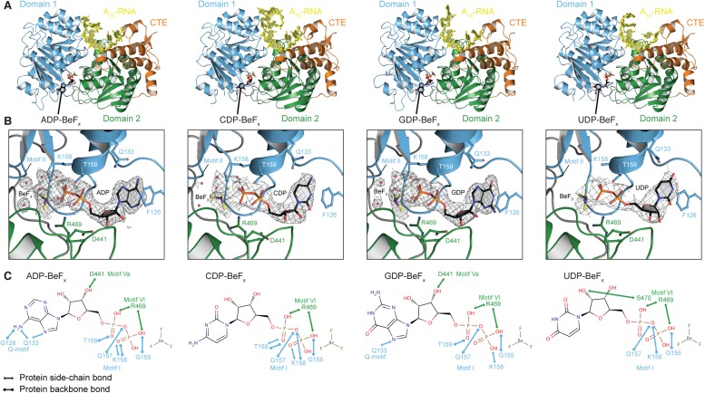 Figure 3.