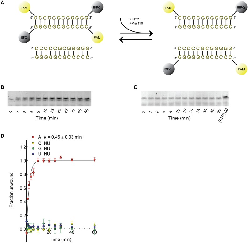 Figure 2—figure supplement 2.