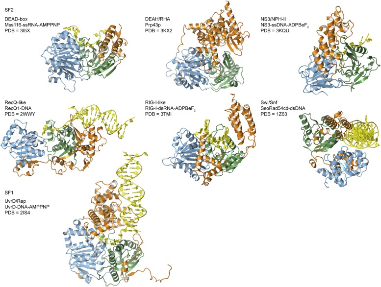 Figure 1—figure supplement 1.