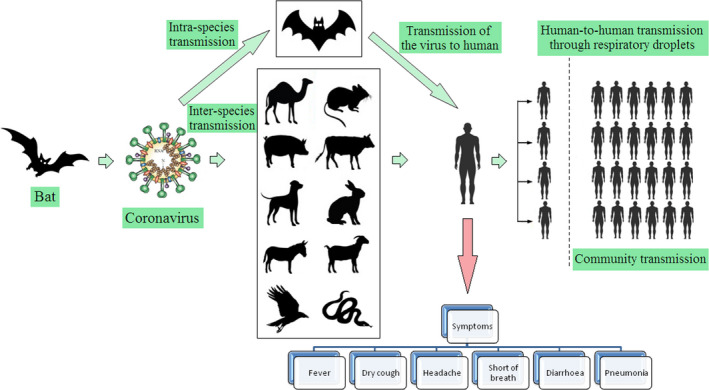 FIGURE 4