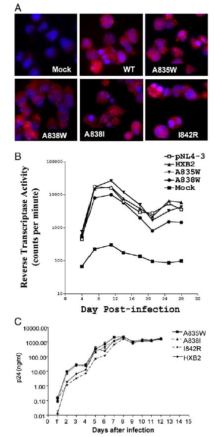 Fig. 4