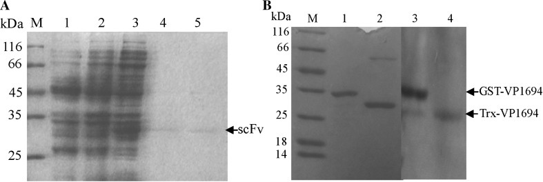 Fig. 5