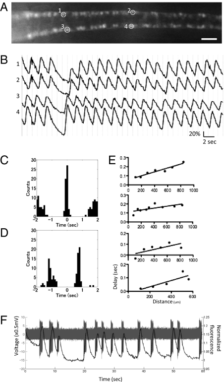 Fig. 4.