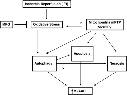 FIG. 6.