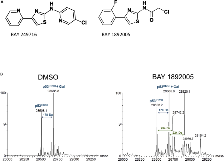 Figure 2