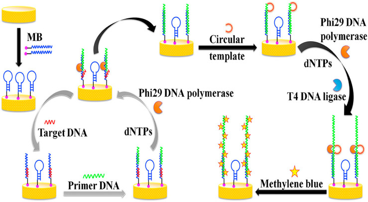 Fig. 2