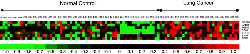 Fig. 2