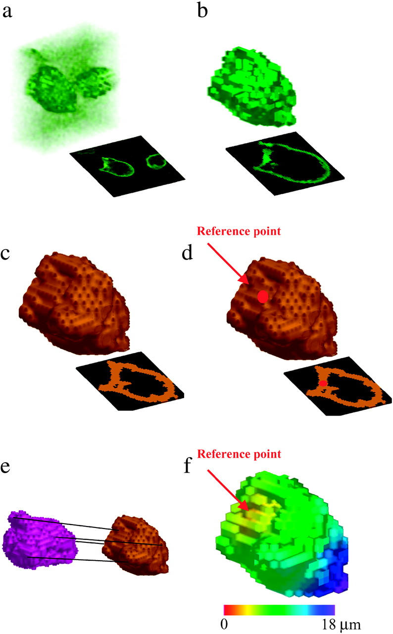 FIGURE 2