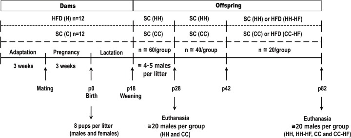 Fig 1