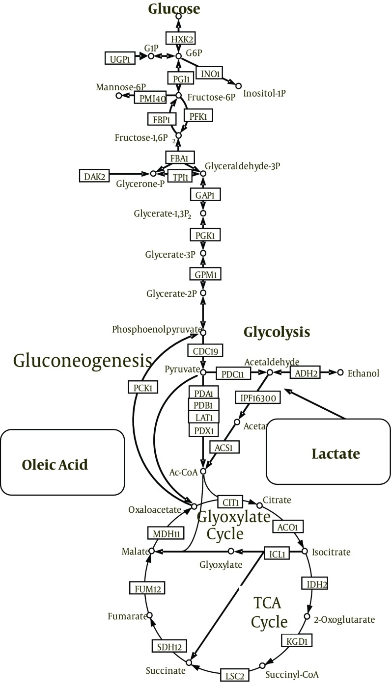 Figure 3.