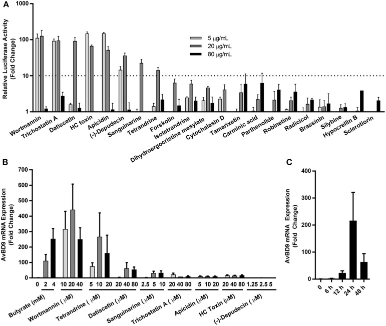 Figure 4