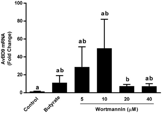 Figure 6