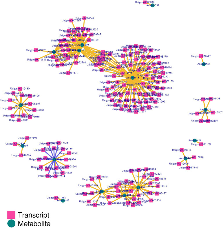 FIGURE 13