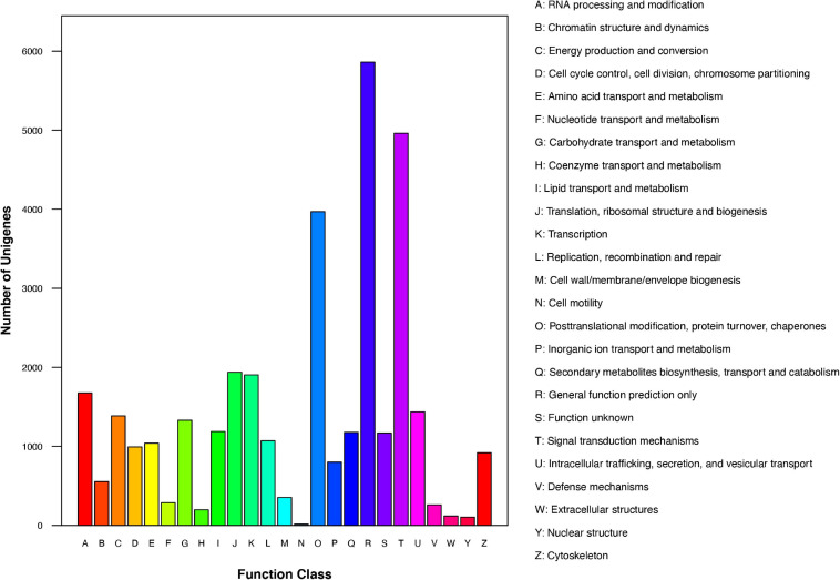 FIGURE 3