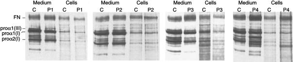 Figure  1