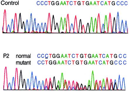 Figure  4