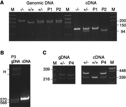 Figure  2